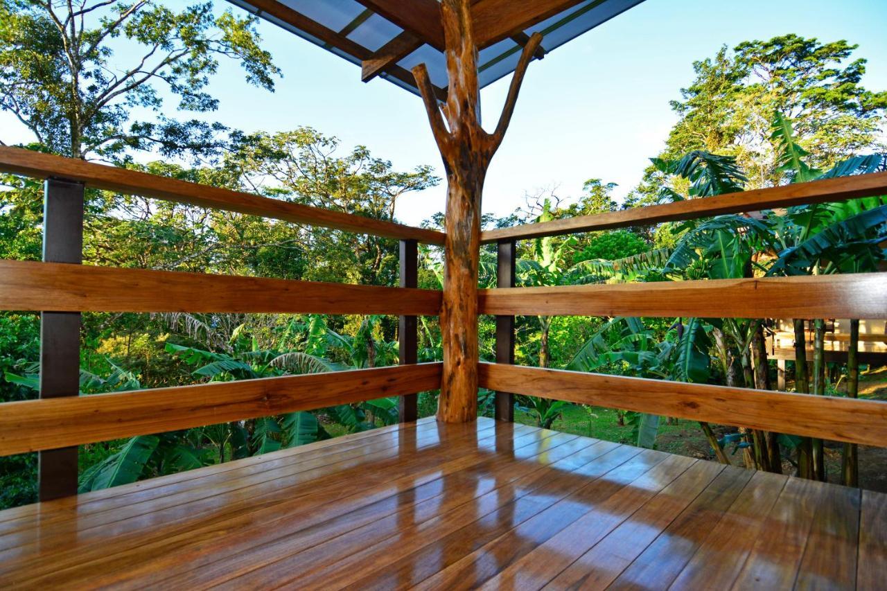 Aves De Tierras Altas Villa Bijagua Exterior photo